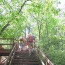 서울성북초등학교 이미지