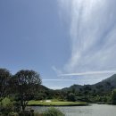 그린에버 이미지