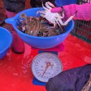 마리온누리약국 | 소래포구 꽃게, 킹크랩 수율 대만족 후기