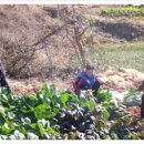 순만농장 이미지