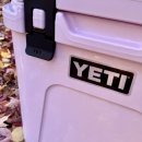 The Better GYM 이미지