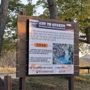 제26회 순천만 갈대축제(겨울) | 11월 순천여행 순천만습지 갈대 절정 노을 감상 철새 탐조 입장 마감시간