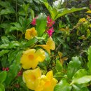 한메드존 이미지