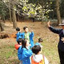 화인유치원 이미지