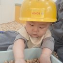 키즈다쿵2 대구달서점