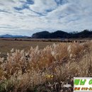 고천암축사 이미지