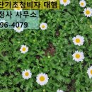 유명림행정사사무소 이미지