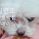 멍메이드 이미지