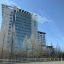 아산병원어린이집 | 5세(만 4세) 소아 내사시 서울 아산병원 이병주 교수 진료 후기 (1)