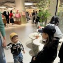 수동 편백나무집 | 다산 현대프리미엄아울렛 맛집 도토리편백집 | 21개월 아기랑 내돈내산 외식 후기 (아기의자 O)