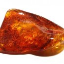 호박한의원 이미지