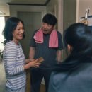 목화자원 이미지