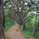 괴곡성벽길 이미지