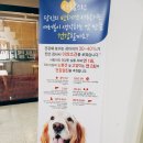 구미 JM 동물 메디컬 센터 이미지