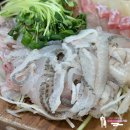 가락횟집 | 제철 도다리 맛집 가락시장 횟집 추천! '영재수산' 도광참회 포장 후기