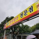 세연한우암소