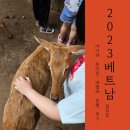 HOTEL. THE STAR | 호치민 여행 라벨라 사이공 호텔(Lavelle Saigon Hotel) 인피티니풀과 조식 포함 아이와 숙박해 본 후기
