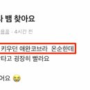 요촌1어린이공원 이미지