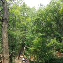 입화산참살이숲 이미지