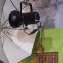 효자한약국 이미지