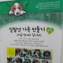 사라 양한방 동물병원 이미지