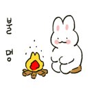 캠프하다 이미지