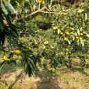 할미올농장 이미지