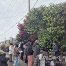 서귀포시동부도서관 이미지