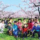 개화영농조합법인 이미지