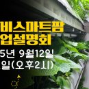 그린와사비 이미지