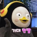 맥파이탭룸