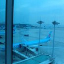 인천공항 2터미널 개장 첫날, 대한항공 수하물 900개 미탑재 이미지