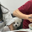 제주한국상용트럭서비스 (주) | 4분기 2025년 끝!