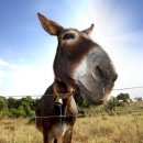 메가스카이학원 이미지