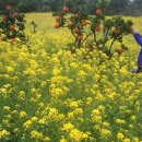 (주)다녀봄 이미지