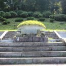 삼애식품 이미지