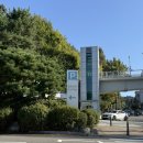 봉화재 반려견놀이터화장실 | 분당서현 무료 반려견 놀이터 율동공원 주차장 방문후기