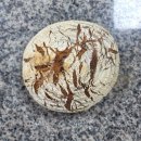 [서부] 건강빵과 발효종(2025) | 영등포제과제빵학원 발효빵 건강빵 페스츄리 과정 등록 전에 꼭 확인해야 할 것들