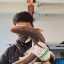 용이수산 이미지