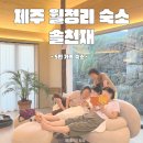솔천재 이미지