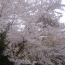 삼미사 이미지