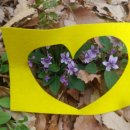 시립죽전어린이집 이미지