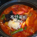 육회닷 | 뱅뱅사거리 맛집 부안육비 닭도리탕 육회비빔밥 후기