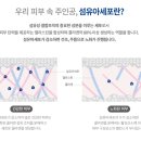 메딕네트워크