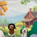 하이뭉치 유치원 이미지