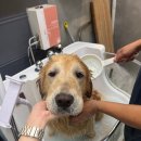 잇츠그루밍타임 서초점 이미지