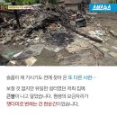 똘이농장 이미지