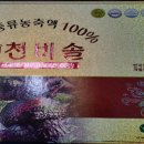 증류 이미지