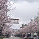 여의도순복음구로교회 이미지