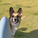 지상낙원 A동 이미지